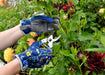 Burgon & Ball Gardening Gloves - British Meadow Gardening Gloves