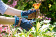 Burgon & Ball Gardening Gloves - Love The Glove - Denim