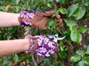 Burgon & Ball Gardening Gloves - Love the Glove - Oak Leaf Plum