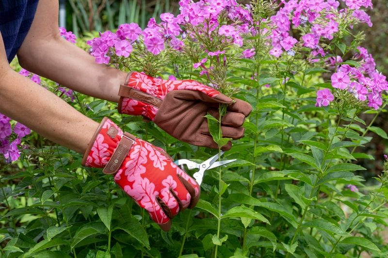 Burgon & Ball Gardening Gloves - Love The Glove - Oak Leaf Poppy