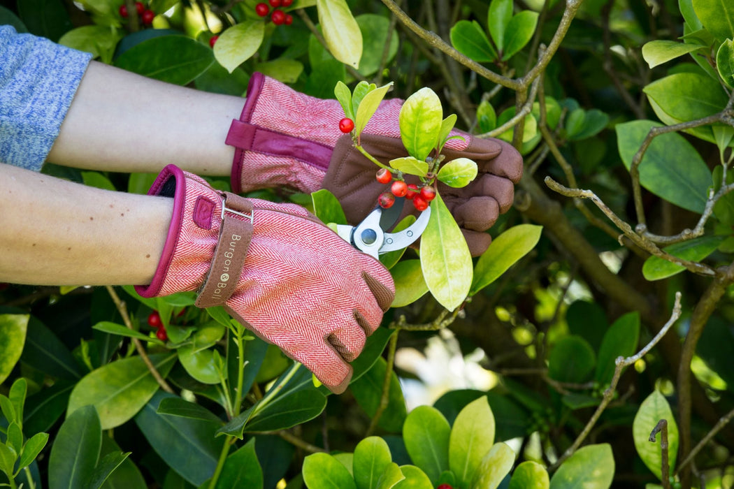 Burgon & Ball Gardening Gloves - Love the Glove - Red Tweed