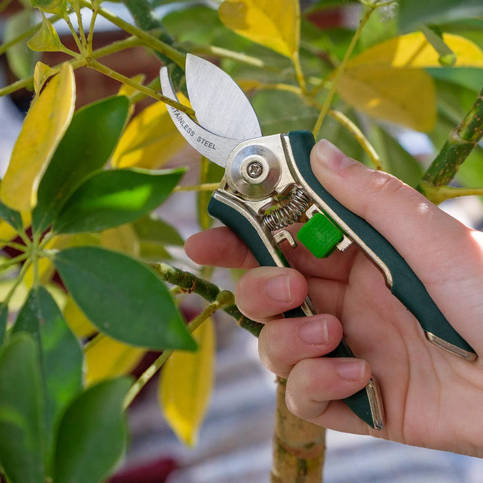 Burgon & Ball Indoor Gardening - Houseplant Pruner