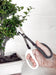 Burgon & Ball Indoor Gardening - Japanese Pruning Scissors