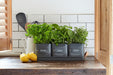 Burgon & Ball Indoor Plant Pots - 3 Herb Pots in a Leather Handled Tray - Charcoal