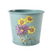 Burgon & Ball Indoor Plant Pots - Asteraceae Herb Pots