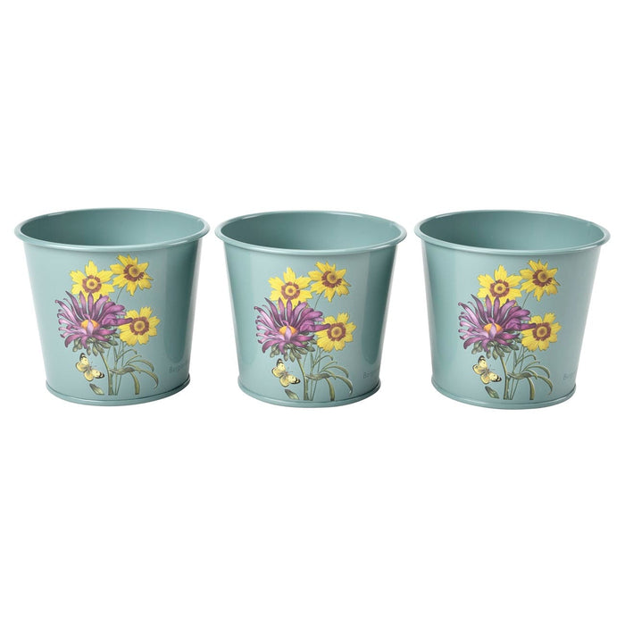 Burgon & Ball Indoor Plant Pots - Asteraceae Herb Pots