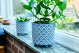 Burgon & Ball Indoor Plant Pots - Bilbao Blue Glazed Pot - Large