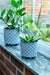 Burgon & Ball Indoor Plant Pots - Bilbao Blue Glazed Pot - Small