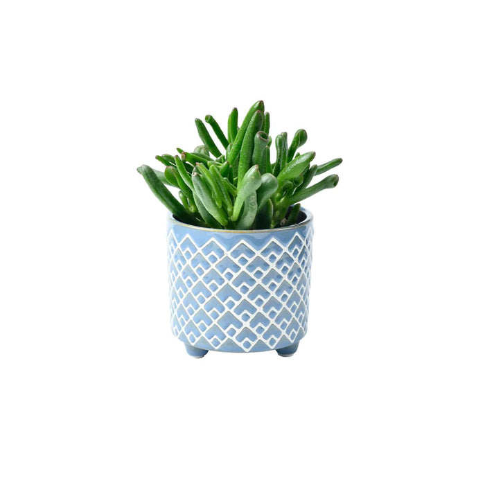 Burgon & Ball Indoor Plant Pots - Bilbao Blue Glazed Pot - Small