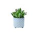 Burgon & Ball Indoor Plant Pots - Bilbao Blue Glazed Pot - Small