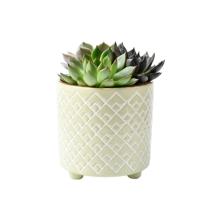 Burgon & Ball Indoor Plant Pots - Bilbao Pale Jade Glazed Pot - Large