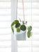 Burgon & Ball Indoor Plant Pots - Dip' Hanging Plant Pot