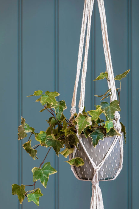 Burgon & Ball Indoor Plant Pots - Macrame Hanging Plant Pot