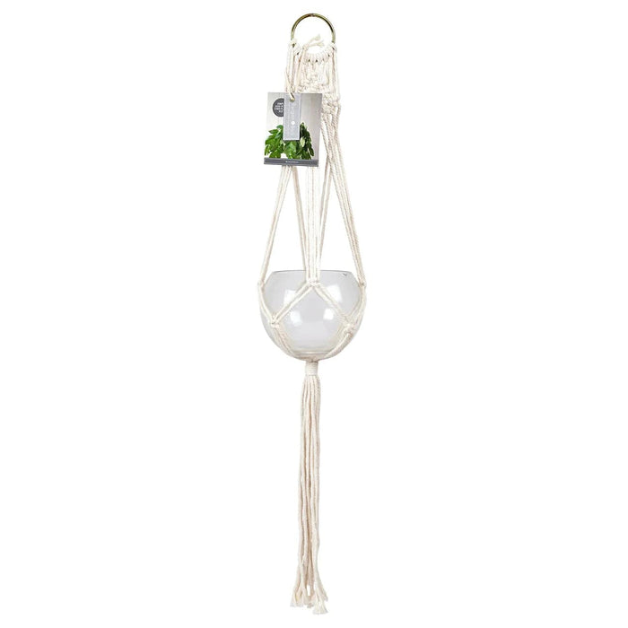 Burgon & Ball Indoor Plant Pots - Macrame Plant Pot Hanger - Woodstock