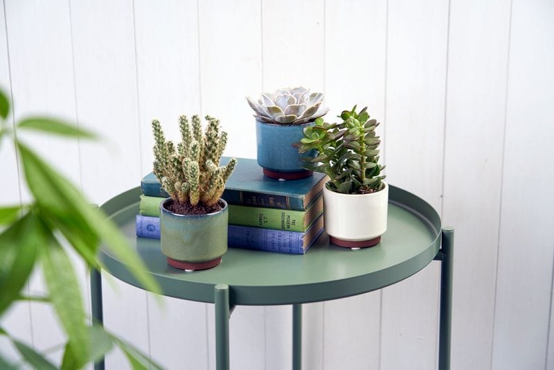 Burgon & Ball Indoor Plant Pots - Malibu Succulent Pot - Blue