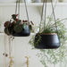 Burgon & Ball Indoor Plant Pots - Sahara Sunset Metal Hanging Pot - Large