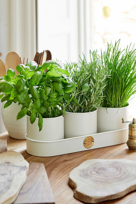 Burgon & Ball Indoor Plant Pots - Sophie Conran Herb Pots - Buttermilk