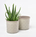 Burgon & Ball Indoor Plant Pots - Tuscany Grey Glazed Pot - Large