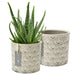 Burgon & Ball Indoor Plant Pots - Venetian Grey Glazed Pot - Large