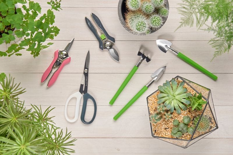 Burgon & Ball Plant Terrariums - Houseplant & Terrarium Tool Set