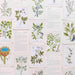 Chelsea Physic Garden Card Decks - Healing Plants: 50 Botanical Cards