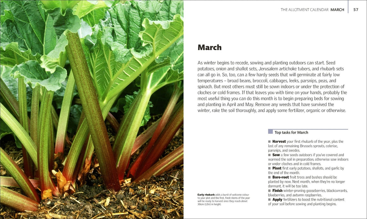 DK Publishers Books - Allotment Month by Month