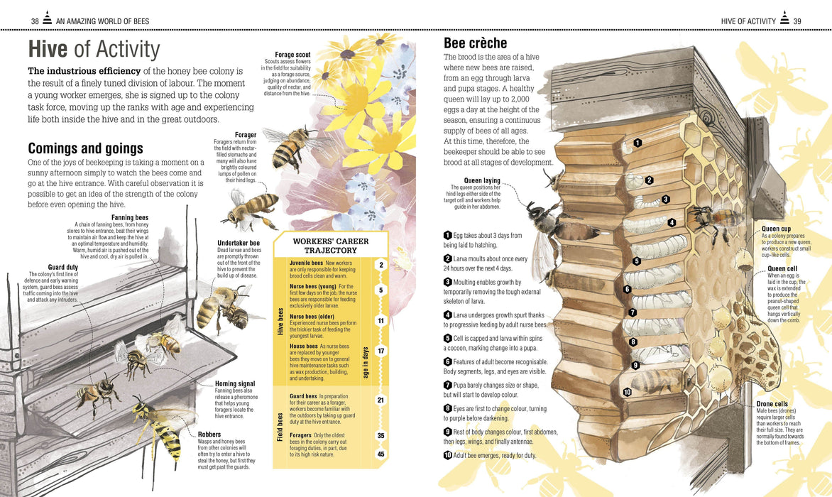 DK Publishers Books - The Bee Book: The Wonder of Bees - How to Protect Them - Beekeeping Know-How