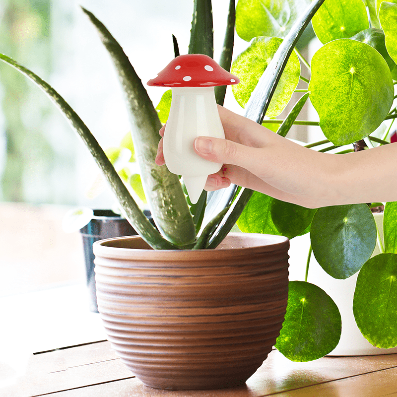 self-watering mushroom planter for houseplants