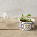 Esschert Design Pots & Planters - Portuguese Tiled Pot with Glass Cloche