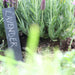 Esschert's Garden Garden Essentials - Slate Plant Marker (Set of Six)