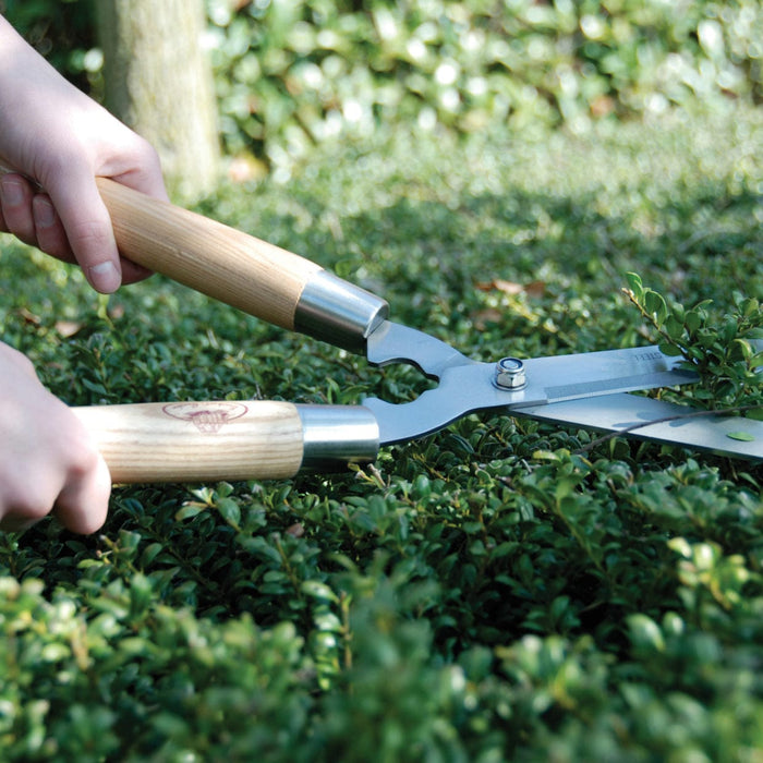 Esschert's Garden Garden Tools & Equipment - Traditional Hedging Shears (Stainless Steel)