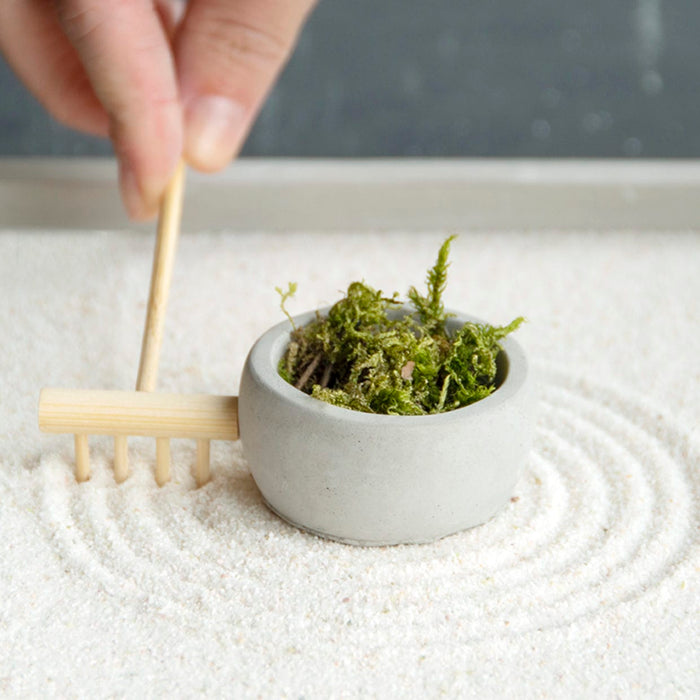 Esschert's Garden Indoor Decor - Mini Japanese Zen Garden (Rectangle)