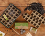 Esschert's Garden Plant & Herb Growing Kits - Seed Growing Kit for Eco-Friendly Gardeners