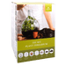 Esschert's Garden Plant Terrariums - DIY Plant Terrarium Kit with 5 Litre Bottle