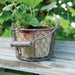 Esschert's Garden Pots & Planters - Aged Terracotta Pot in Wire Basket with Handle