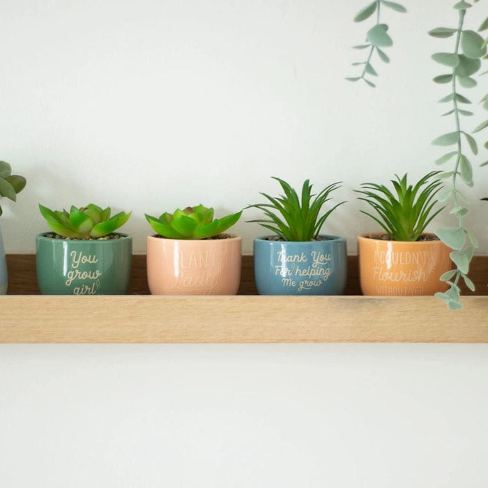 Mini Plant Pots with Artificial Plant