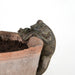 Fallen Fruits Plant Pot Accessories - Plant Pot Hanger - Frog