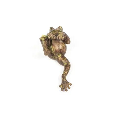 Fallen Fruits Plant Pot Accessories - Plant Pot Hanger - Frog