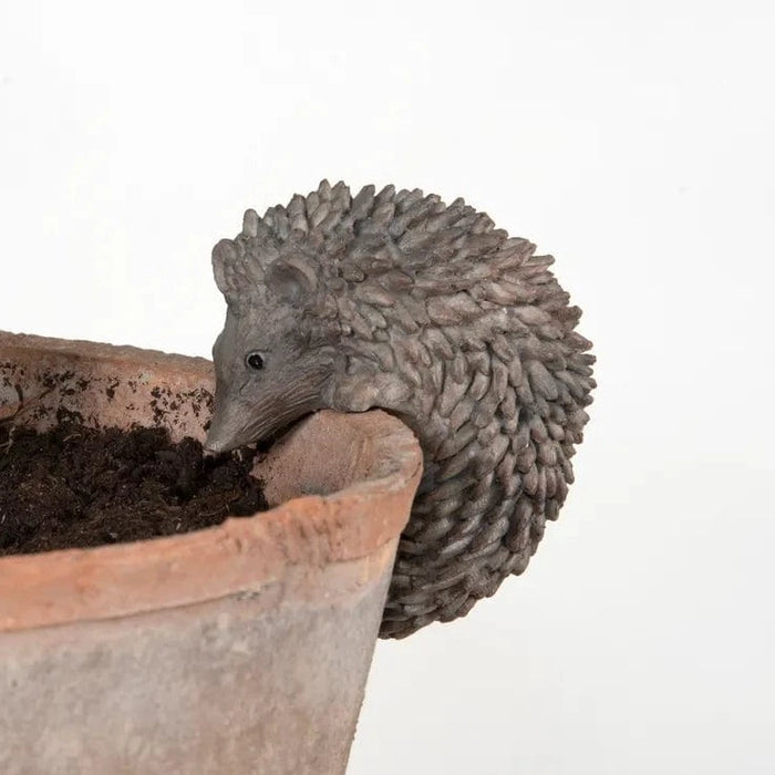 Fallen Fruits Plant Pot Accessories - Plant Pot Hanger - Hedgehog