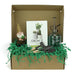 Gardening Gifts Co. Gift Hampers - Crazy for Cacti Gift Hamper