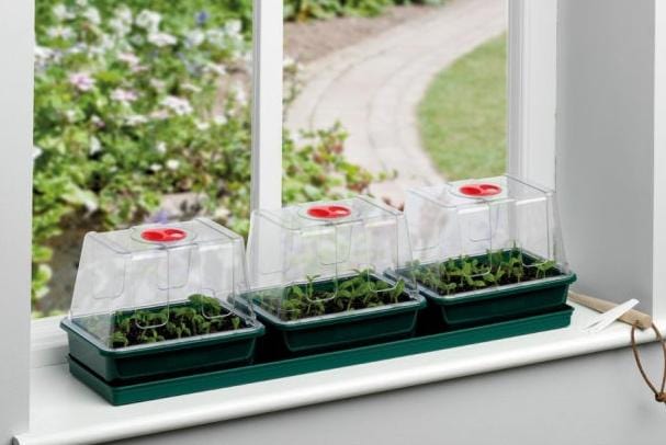 Garland Indoor Gardening - Three Top Windowsill Propagator