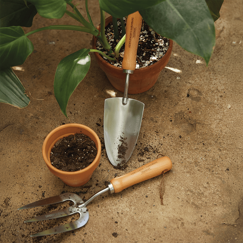 Gentlemen's Hardware tools next to potted houseplant