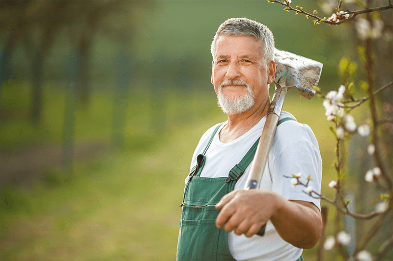 senior male gardening holding spade on shoulder