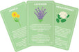 Gift Republic Card Decks - Healing Herbs - Card Pack