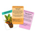 Gift Republic Card Decks - Positive Plants - Card Pack