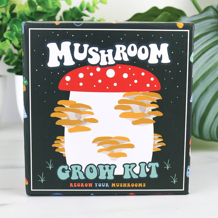 Gift Republic Indoor Plant Pots - Mushroom Grow Kit Planter