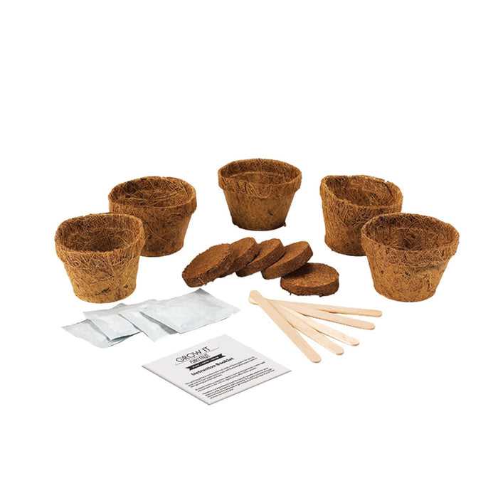 Gift Republic Plant & Herb Growing Kits - Grow Your Own Exotic Fruits - Grow It Funky Fruit