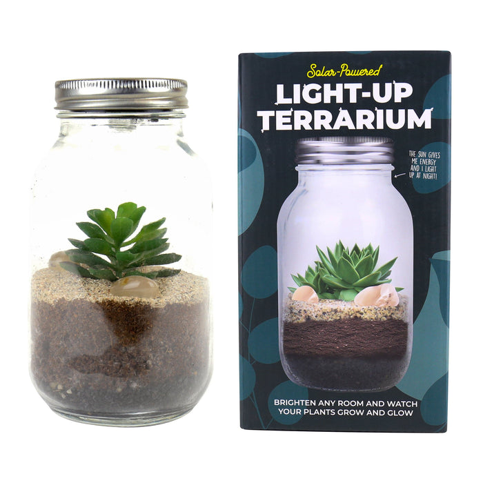 Gift Republic Plant Terrariums - Solar-Powered Light-Up Terrarium