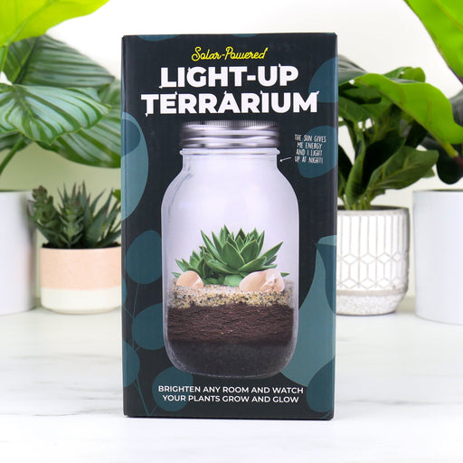 Gift Republic Plant Terrariums - Solar-Powered Light-Up Terrarium