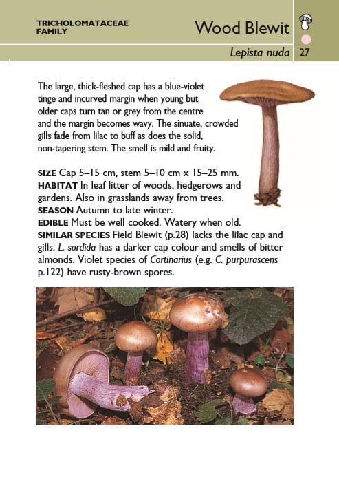 HarperCollins Publishers Books - Mushrooms (Collins Gem, Pocket Guide)